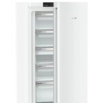 LIEBHERR FNa 6635 Gefrierschrank Plus (A, 260 l, 1455 mm hoch)